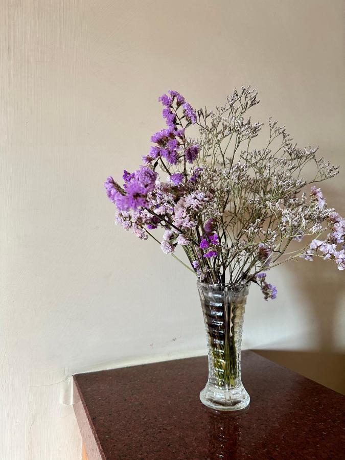 Oasi Santa Rosa Hotell Rom Exteriör bild